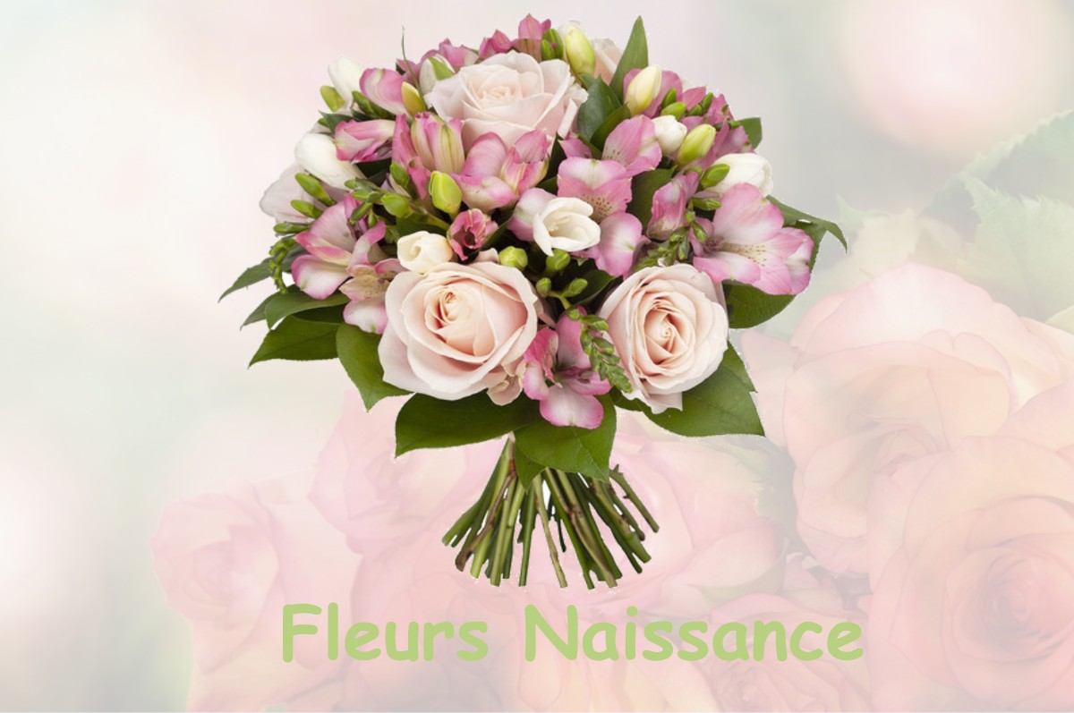 fleurs naissance GUYENCOURT-SAULCOURT